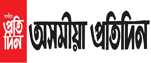 collection logo