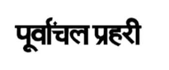 collection logo